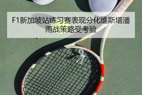 F1新加坡站练习赛表现分化维斯塔潘雨战策略受考验